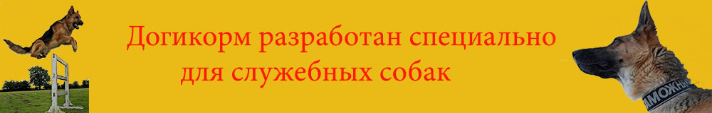 banner down New